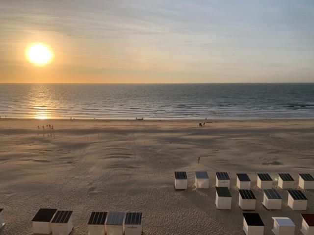Parel Aan Het Apartment *